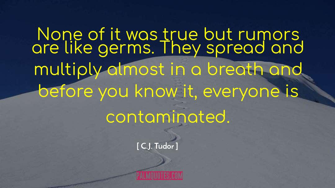 C.J. Tudor Quotes: None of it was true