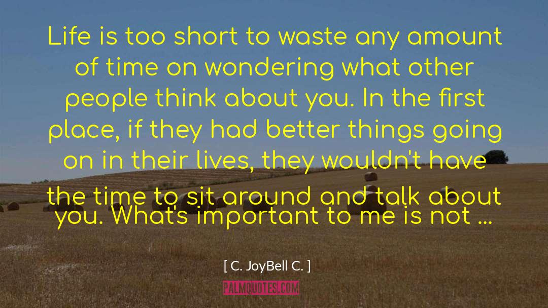 C. JoyBell C. Quotes: Life is too short to