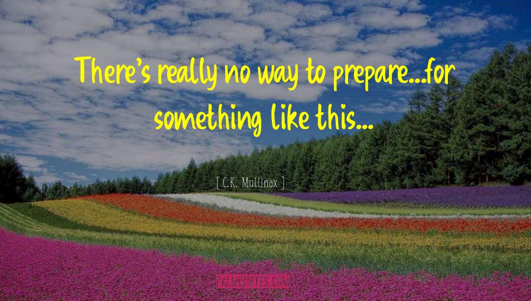 C.K. Mullinax Quotes: There's really no way to