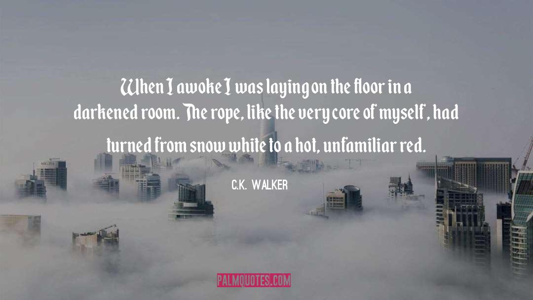 C.K. Walker Quotes: When I awoke I was