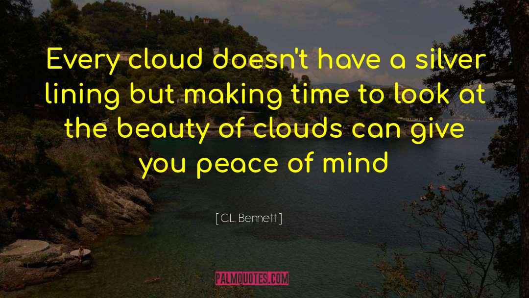 C.L. Bennett Quotes: Every cloud doesn't have a