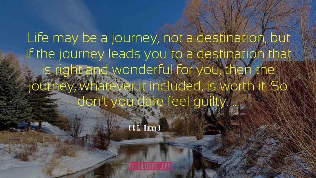 C.L. Quinn Quotes: Life may be a journey,