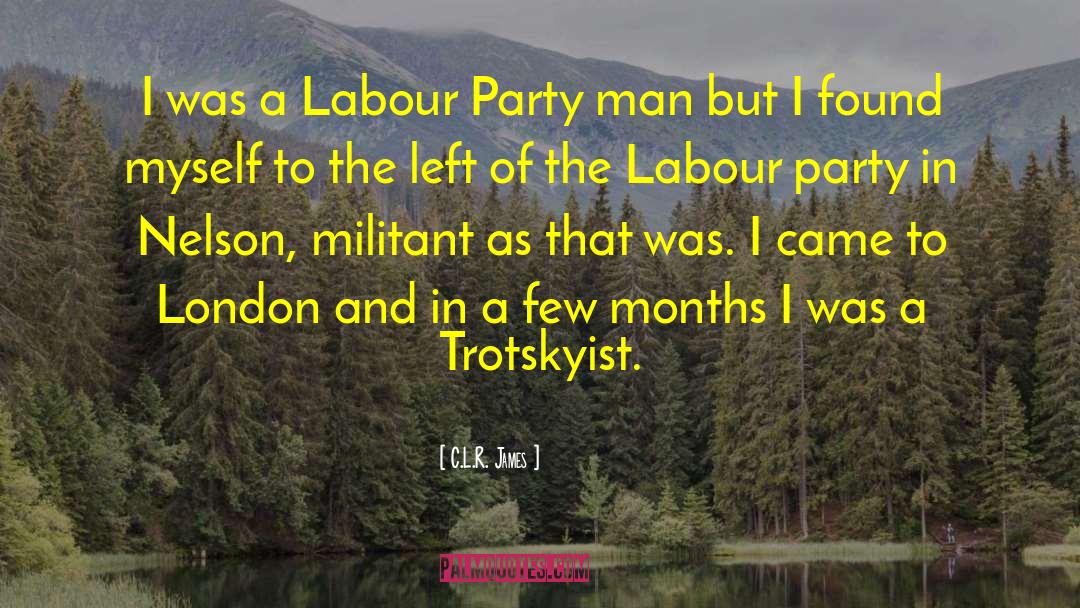 C.L.R. James Quotes: I was a Labour Party