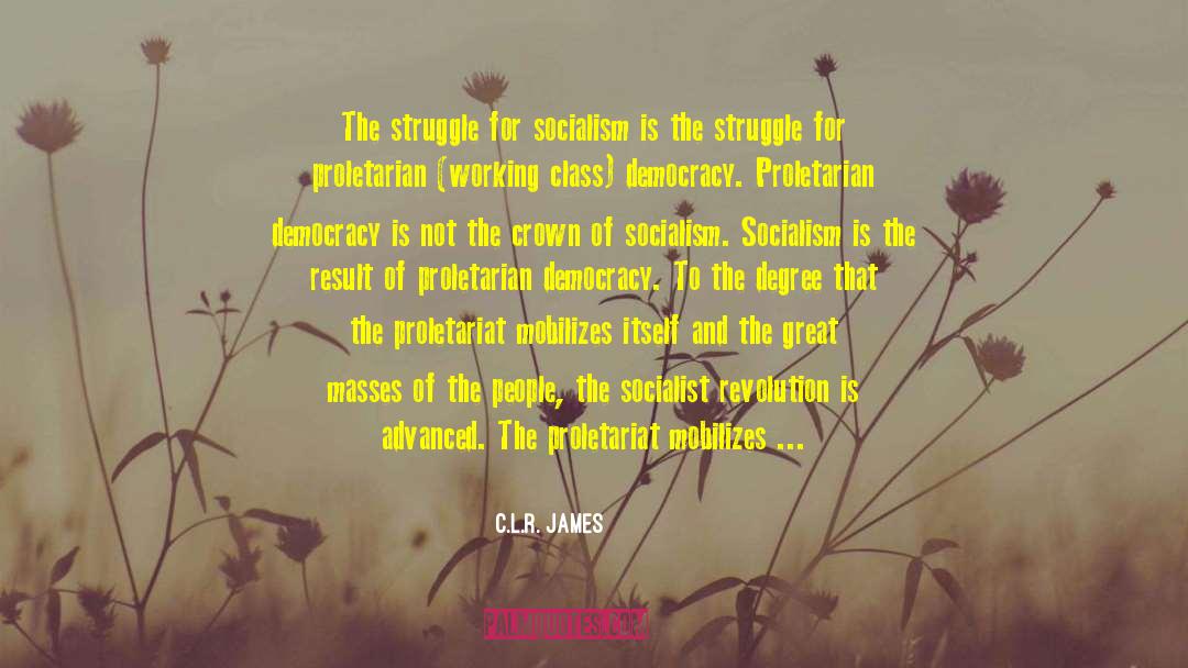 C.L.R. James Quotes: The struggle for socialism is