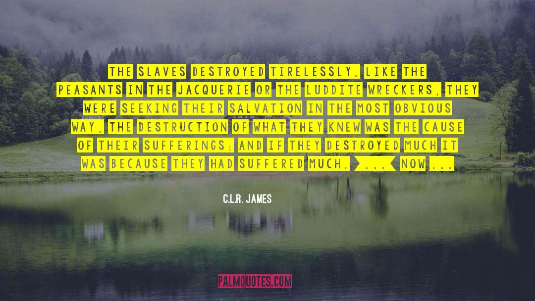 C.L.R. James Quotes: The slaves destroyed tirelessly. Like