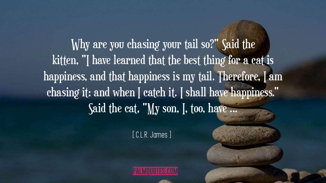 C.L.R. James Quotes: Why are you chasing your