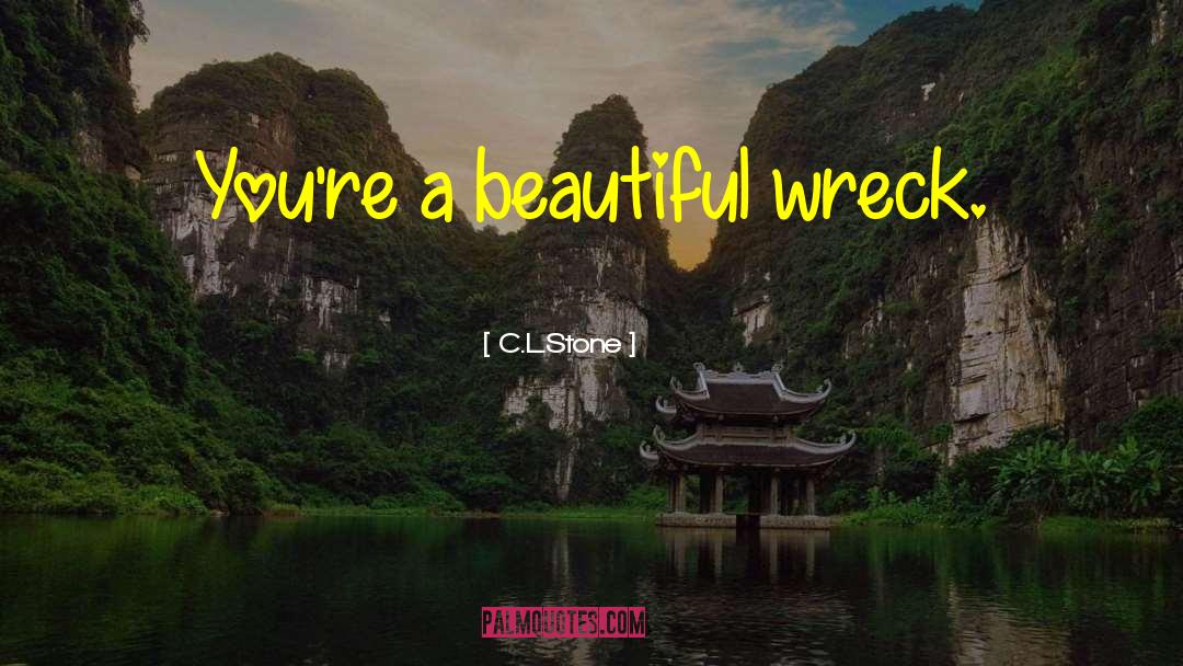 C.L.Stone Quotes: You're a beautiful wreck.