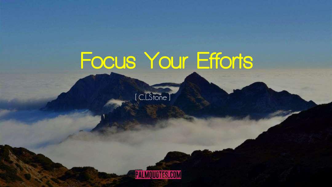 C.L.Stone Quotes: Focus Your Efforts