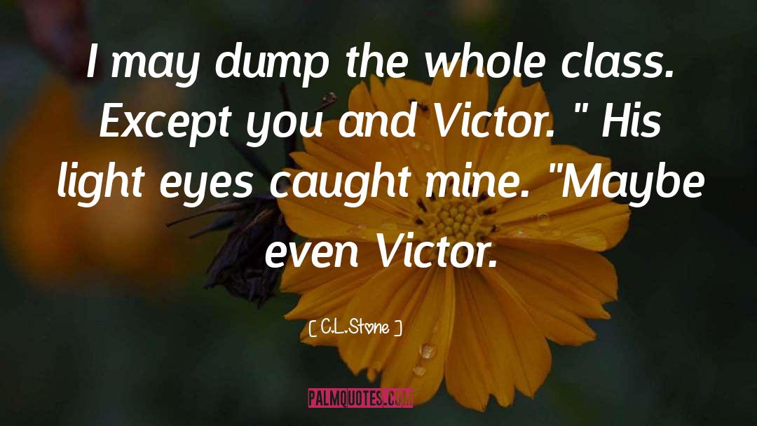 C.L.Stone Quotes: I may dump the whole