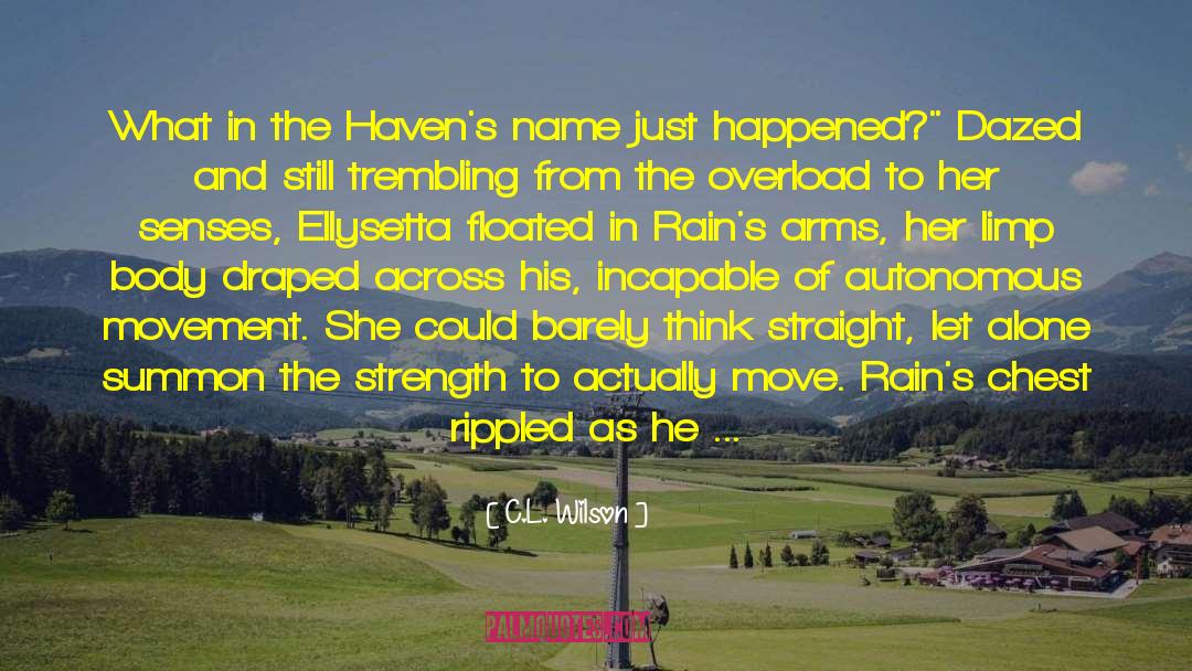 C.L. Wilson Quotes: What in the Haven's name