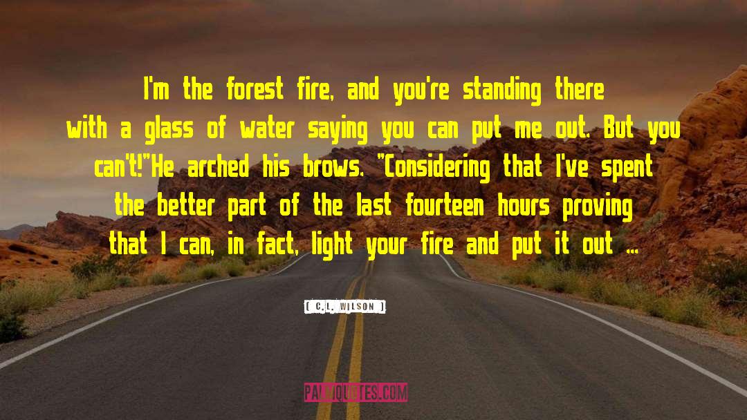 C.L. Wilson Quotes: I'm the forest fire, and