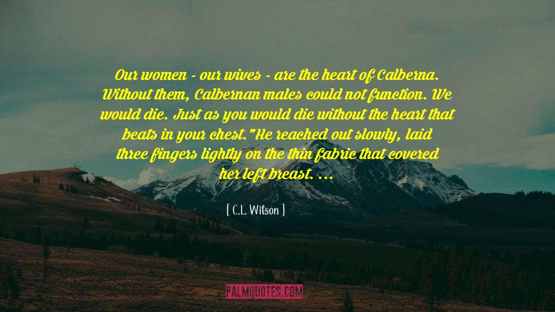 C.L. Wilson Quotes: Our women - our wives