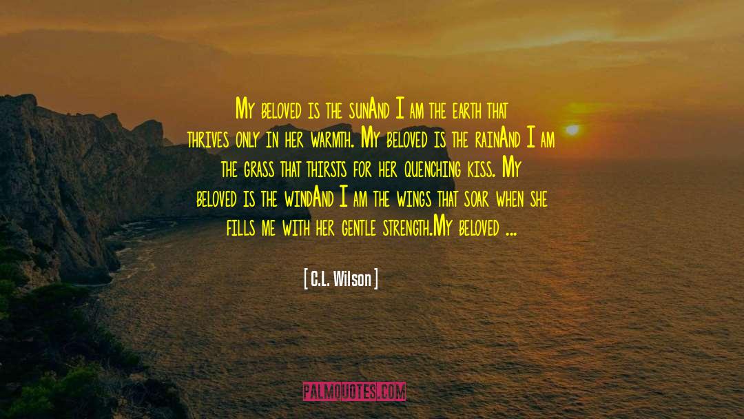 C.L. Wilson Quotes: My beloved is the sun<br>And