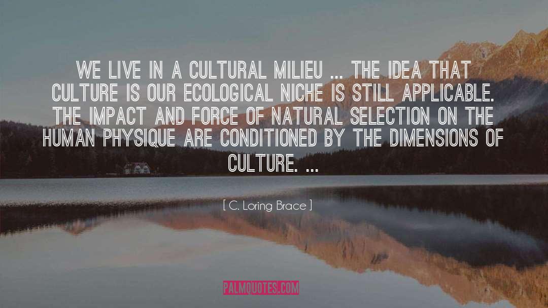 C. Loring Brace Quotes: We live in a cultural