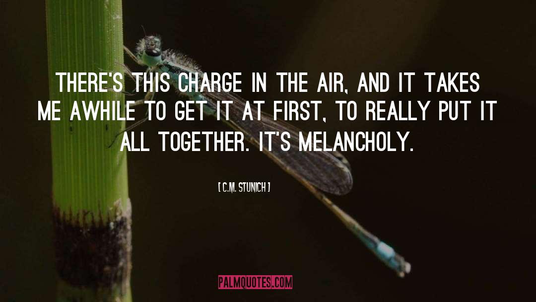 C.M. Stunich Quotes: There's this charge in the