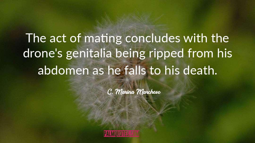 C. Marina Marchese Quotes: The act of mating concludes