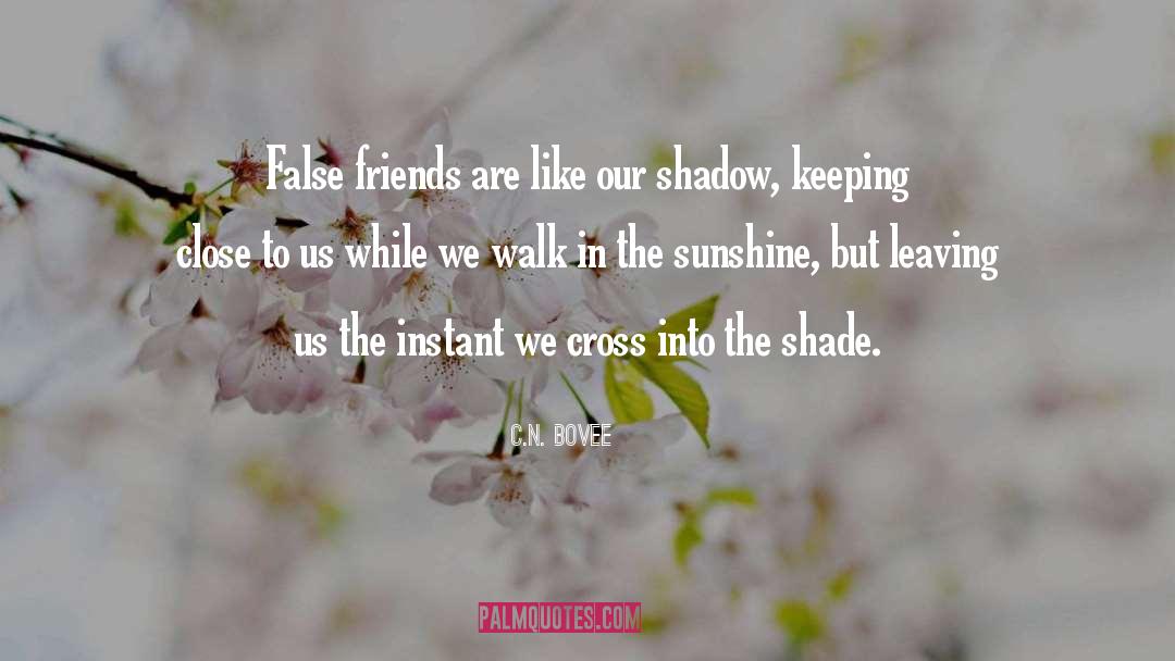 C.N. Bovee Quotes: False friends are like our