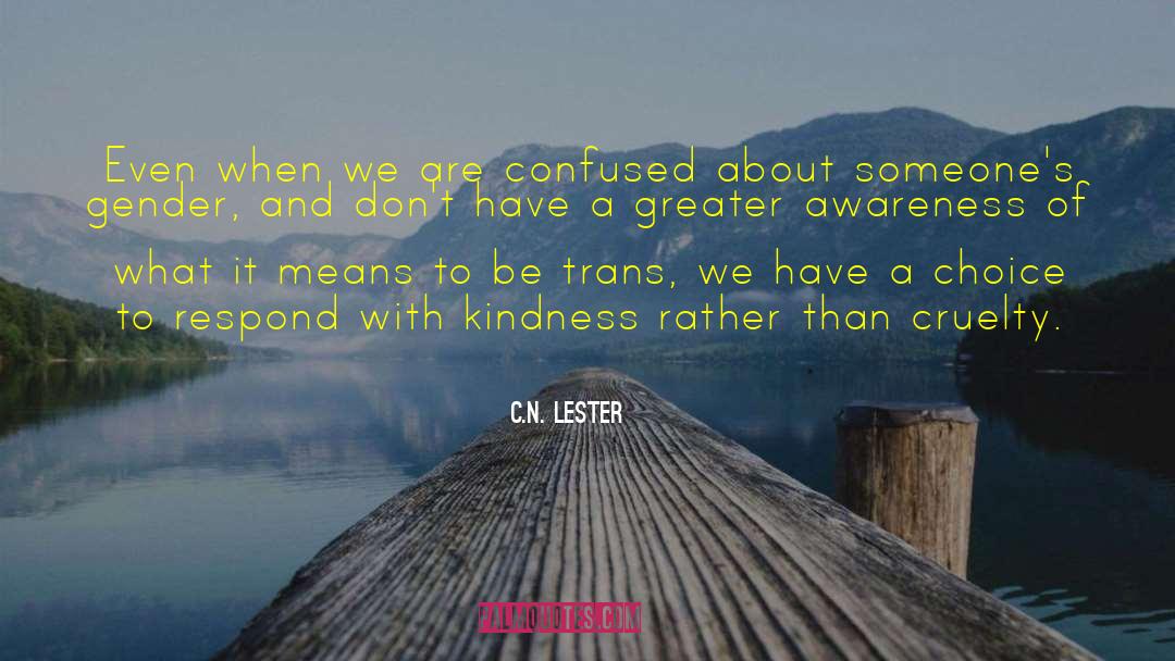 C.N. Lester Quotes: Even when we are confused