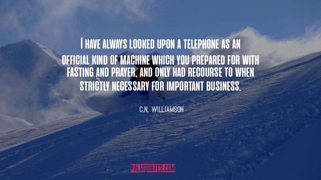 C.N. Williamson Quotes: I have always looked upon