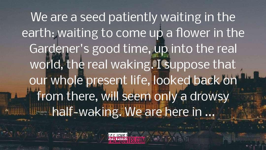 C.S. Lewis Quotes: We are a seed patiently
