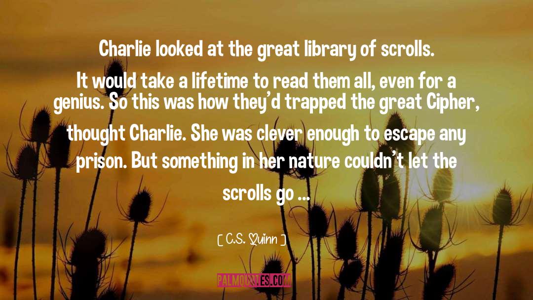 C.S. Quinn Quotes: Charlie looked at the great