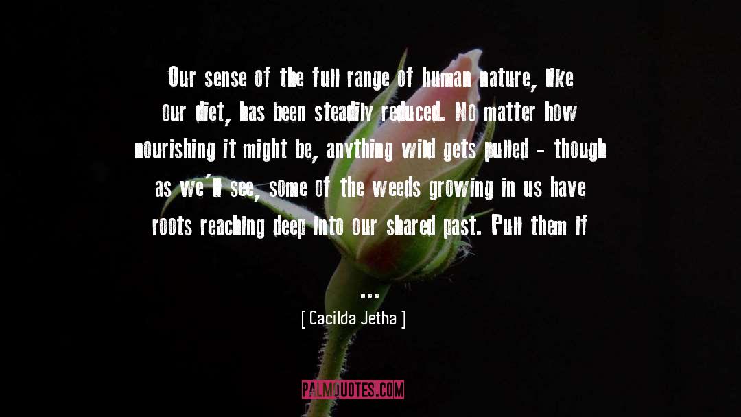 Cacilda Jetha Quotes: Our sense of the full