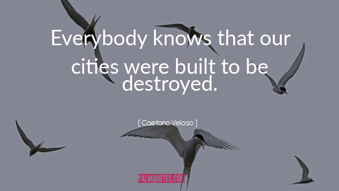 Caetano Veloso Quotes: Everybody knows that our cities