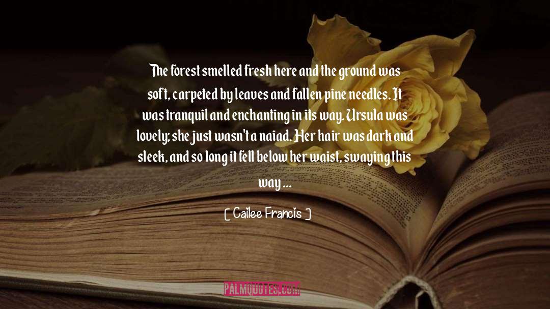 Cailee Francis Quotes: The forest smelled fresh here