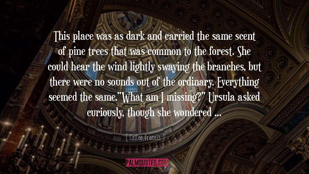Cailee Francis Quotes: This place was as dark