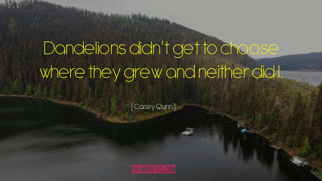 Caisey Quinn Quotes: Dandelions didn't get to choose