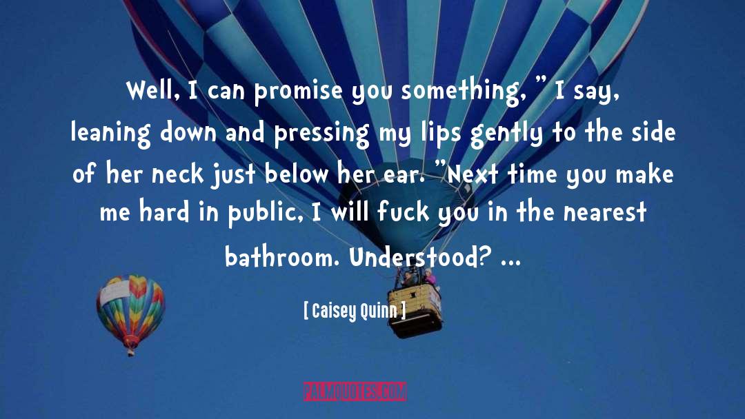 Caisey Quinn Quotes: Well, I can promise you