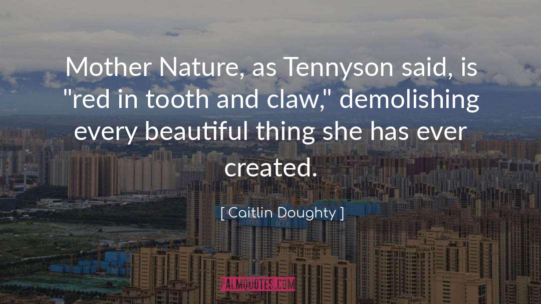 Caitlin Doughty Quotes: Mother Nature, as Tennyson said,