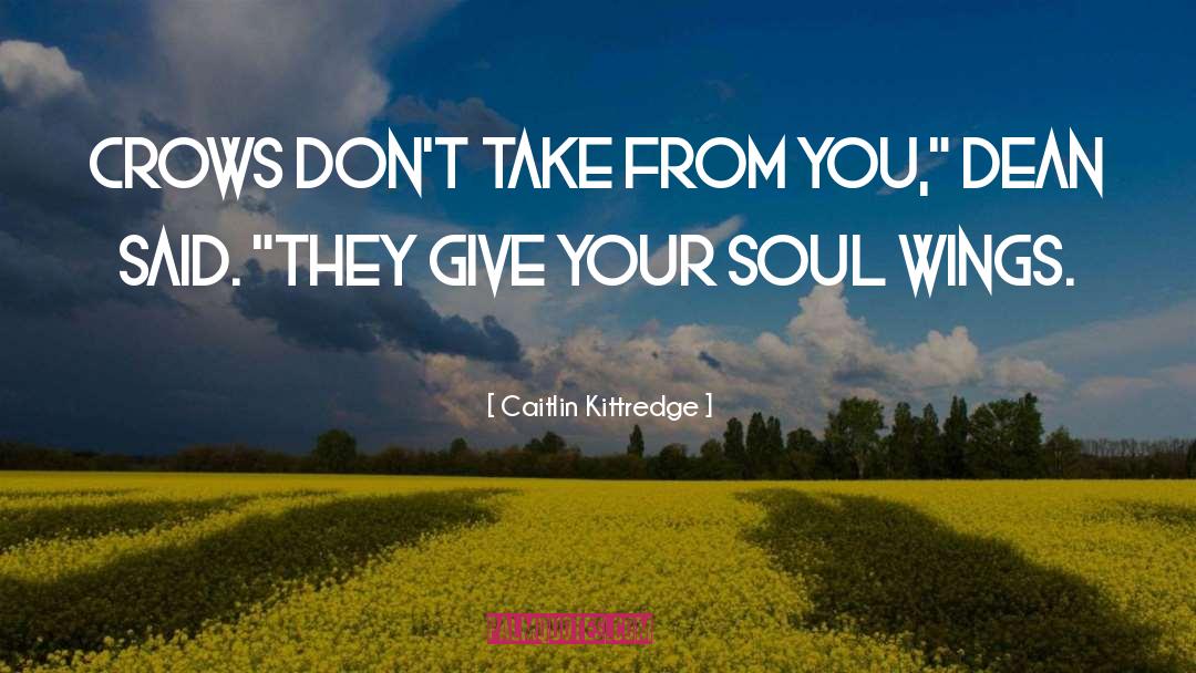 Caitlin Kittredge Quotes: Crows don't take from you,