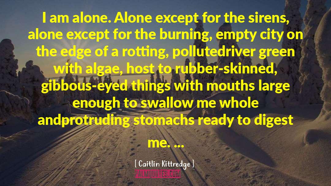 Caitlin Kittredge Quotes: I am alone. Alone except