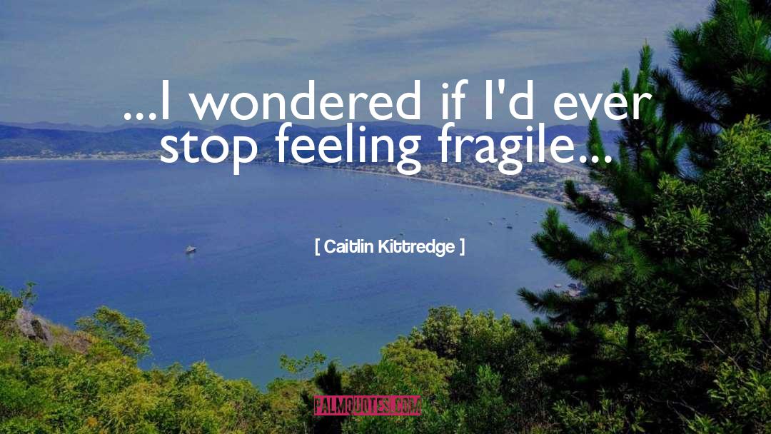 Caitlin Kittredge Quotes: ...I wondered if I'd ever