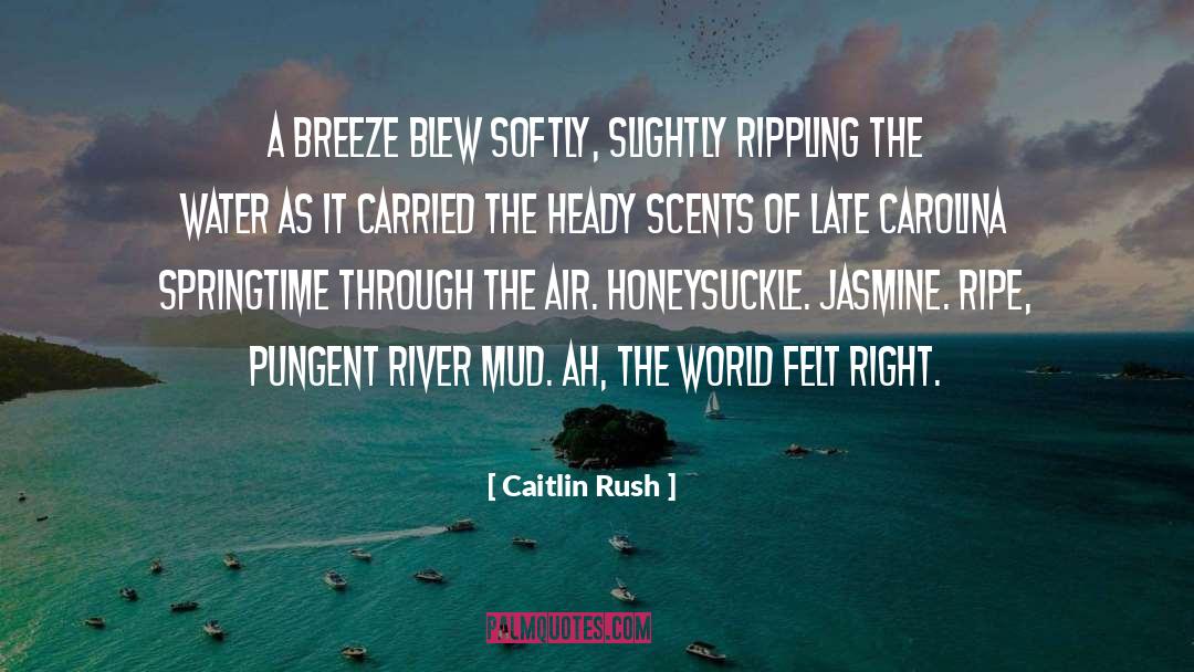 Caitlin Rush Quotes: A breeze blew softly, slightly