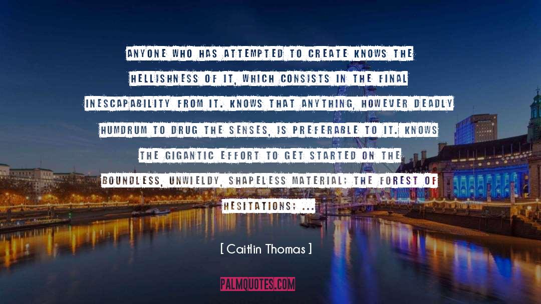 Caitlin Thomas Quotes: Anyone who has attempted to