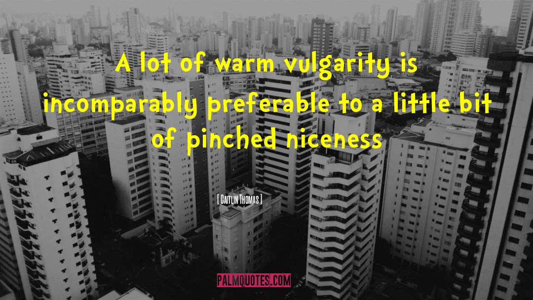 Caitlin Thomas Quotes: A lot of warm vulgarity