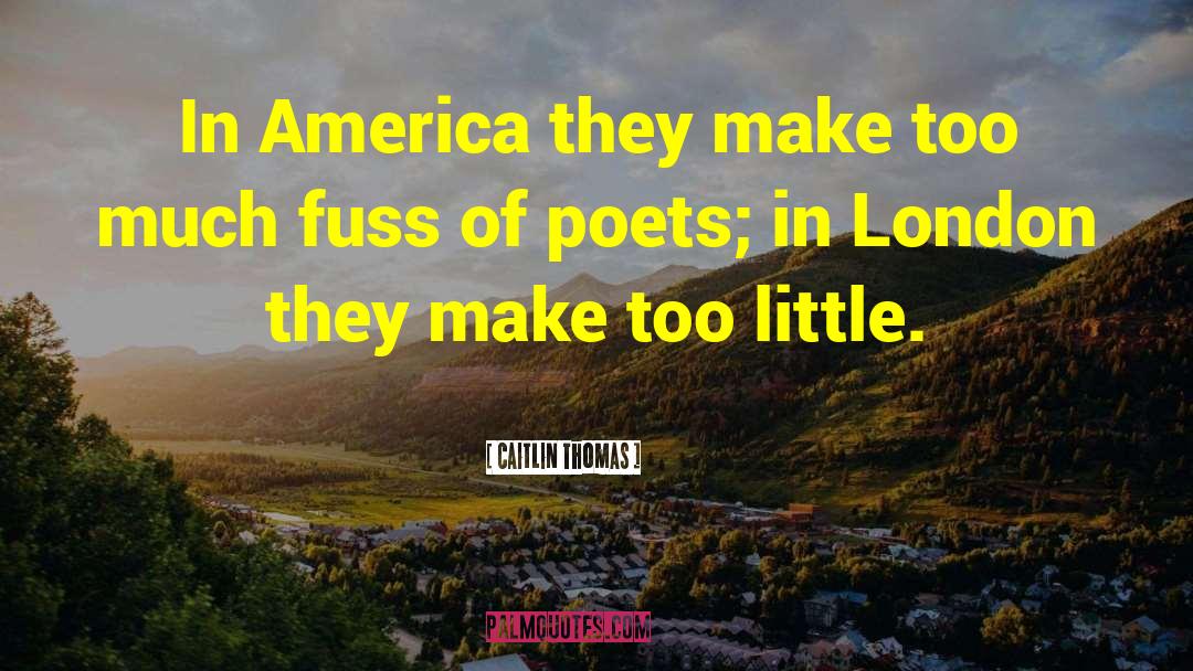 Caitlin Thomas Quotes: In America they make too