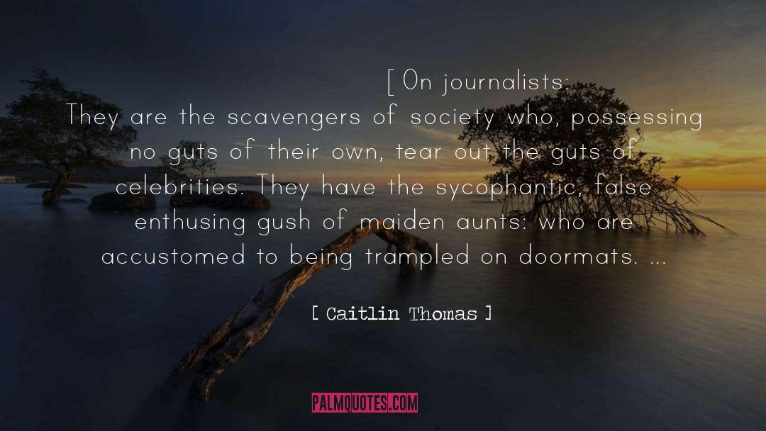 Caitlin Thomas Quotes: [On journalists:] They are the