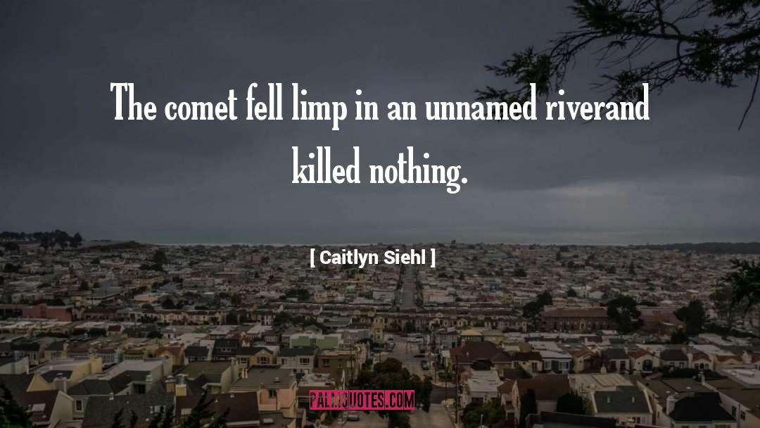 Caitlyn Siehl Quotes: The comet fell limp in