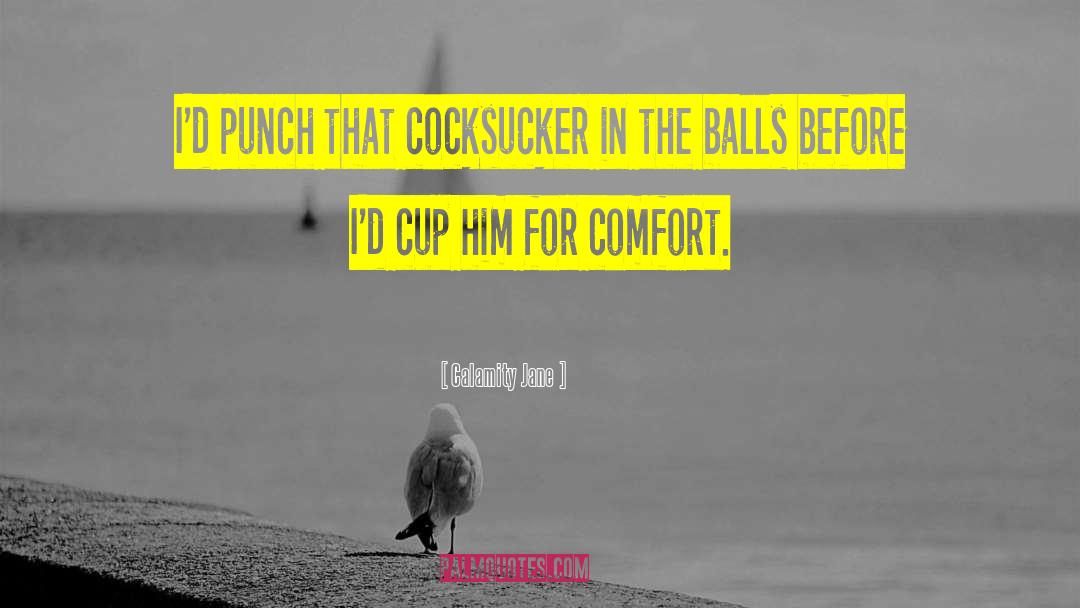 Calamity Jane Quotes: I'd punch that cocksucker in