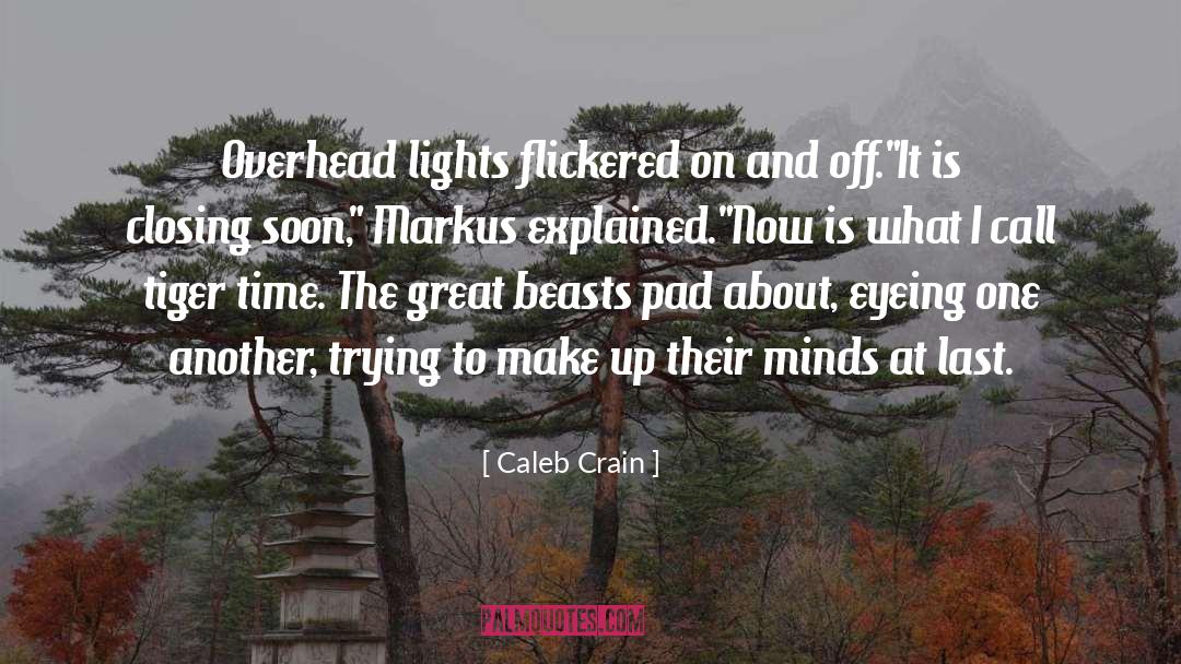 Caleb Crain Quotes: Overhead lights flickered on and