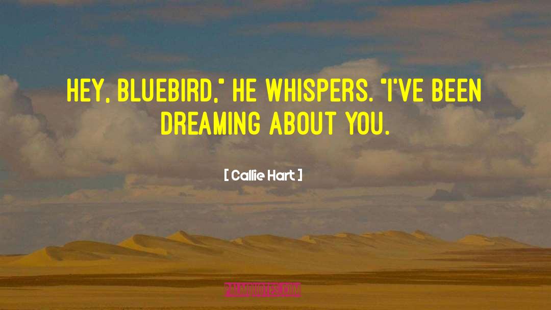 Callie Hart Quotes: Hey, bluebird,