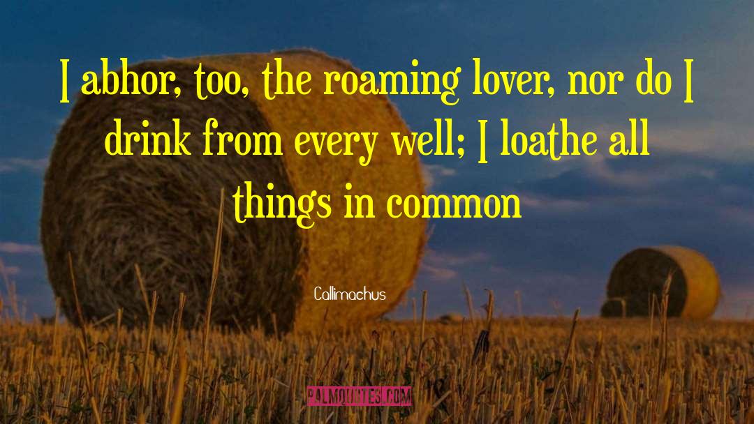 Callimachus Quotes: I abhor, too, the roaming
