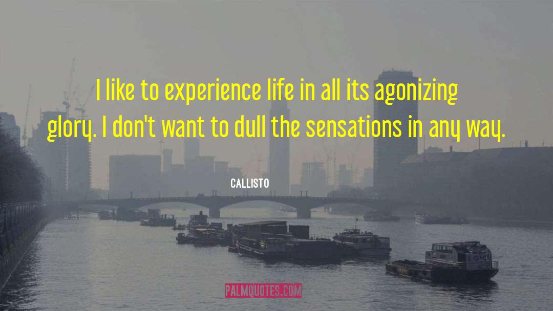Callisto Quotes: I like to experience life