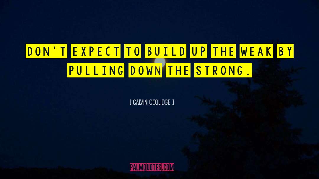 Calvin Coolidge Quotes: Don't expect to build up