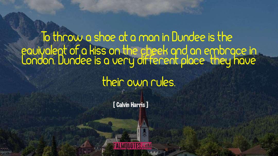 Calvin Harris Quotes: To throw a shoe at