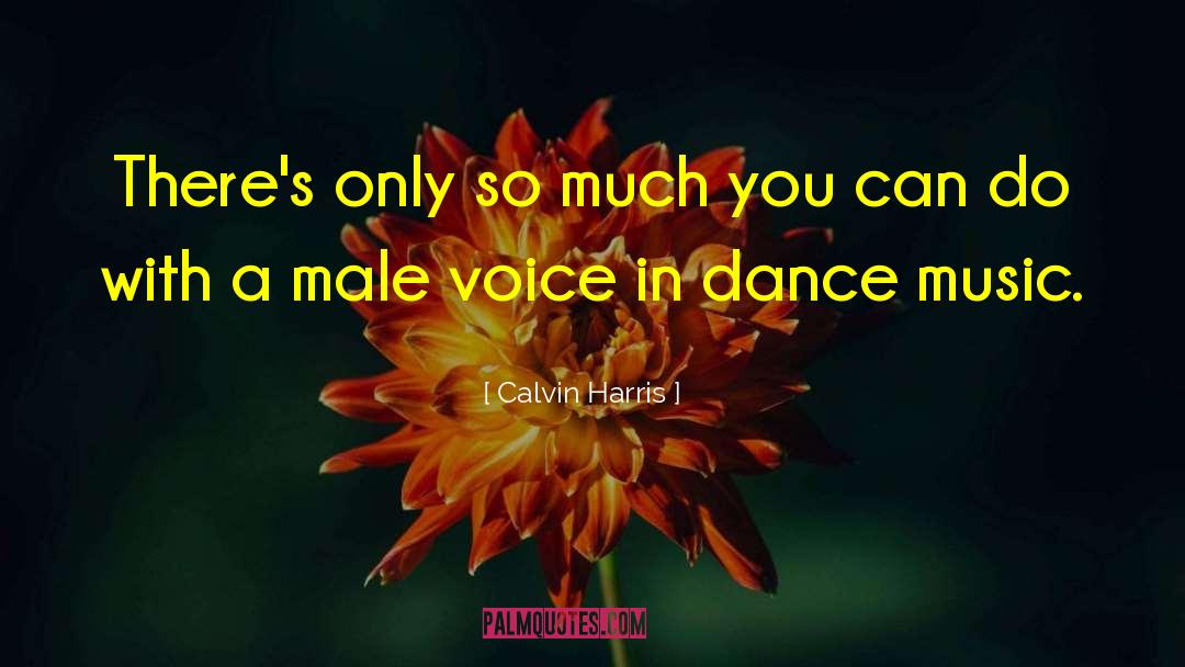 Calvin Harris Quotes: There's only so much you