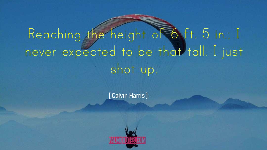 Calvin Harris Quotes: Reaching the height of 6